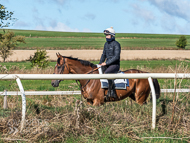 NH280922-7 - Nicky Henderson Stable Visit